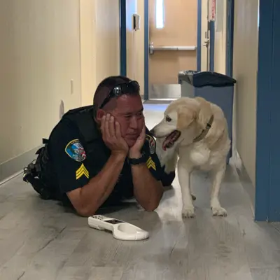 officer and dog