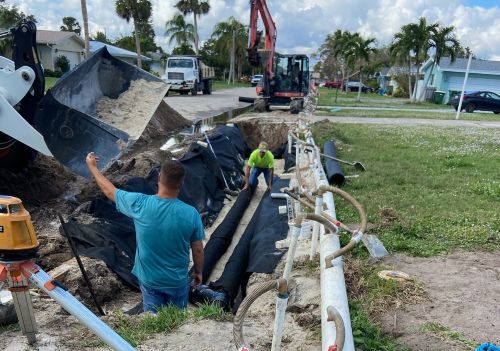 Lori Laine Trunkline