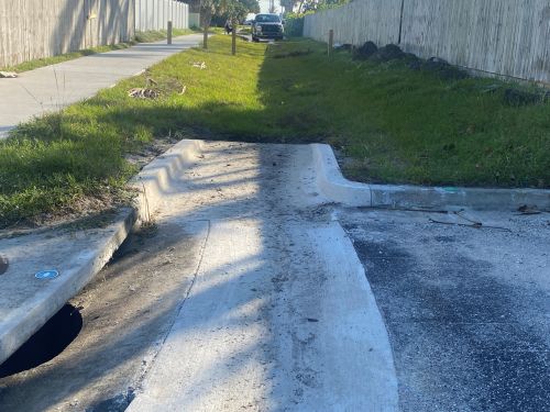 South Ditch Basin BAM Swale