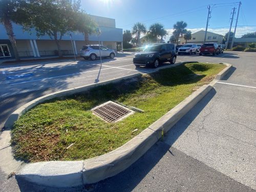 Schechter Center Bioswale